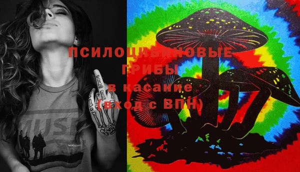 МДПВ Белокуриха