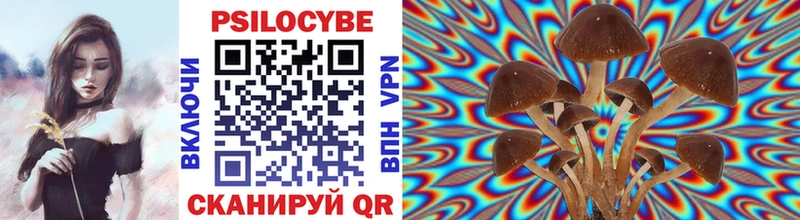 Галлюциногенные грибы мухоморы  Цоци-Юрт 